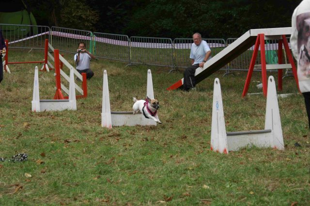 foire-haricots 2011-09-17et18